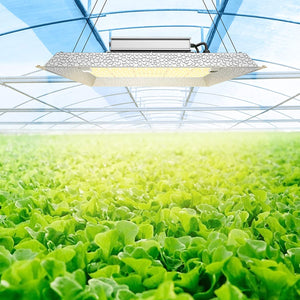 VIPARSPECTRA L600/L1000/L2000W LED Grow Light 4x4ft with Samsung LEDs & Sosen Driver