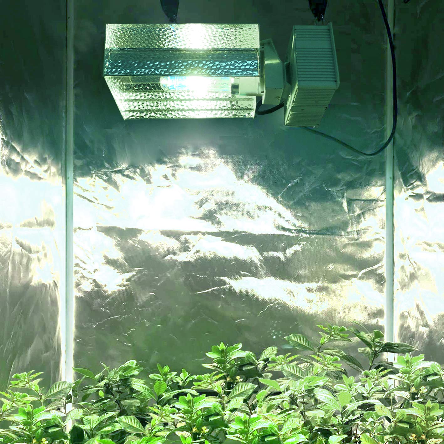 ECO Farm CMH 315W Grow Light Fixture Reflector with Ballast-growpackage.com