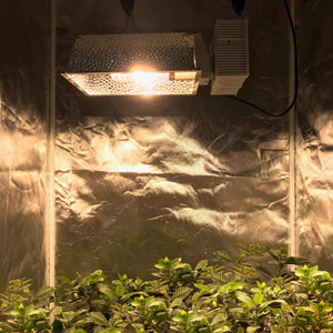 ECO Farm CMH 315W Grow Light Fixture Reflector Enclosed Kit-growpackage.com
