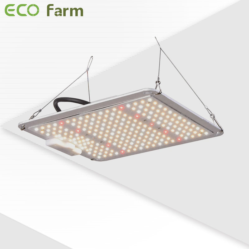 ECO Farm Waterproof LM301B 110W/220W/450W/600W Quantum Board-growpackage.com