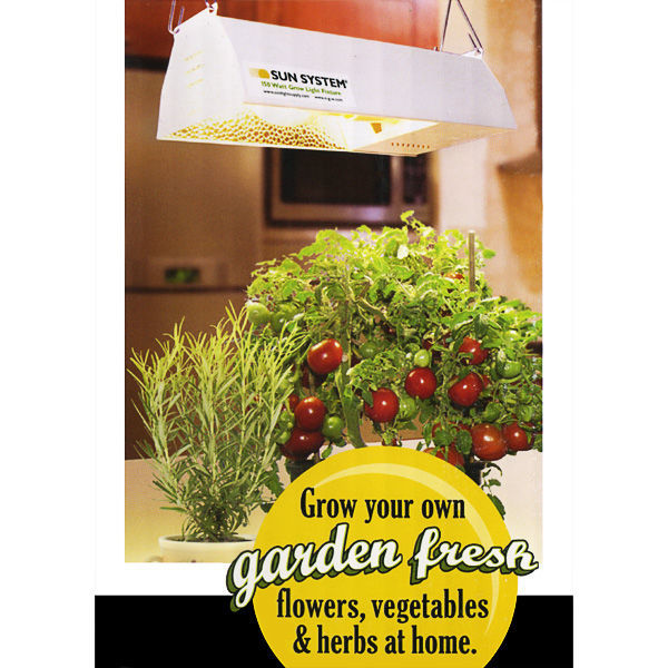 Best Hid Grow Light For Indoor Plants