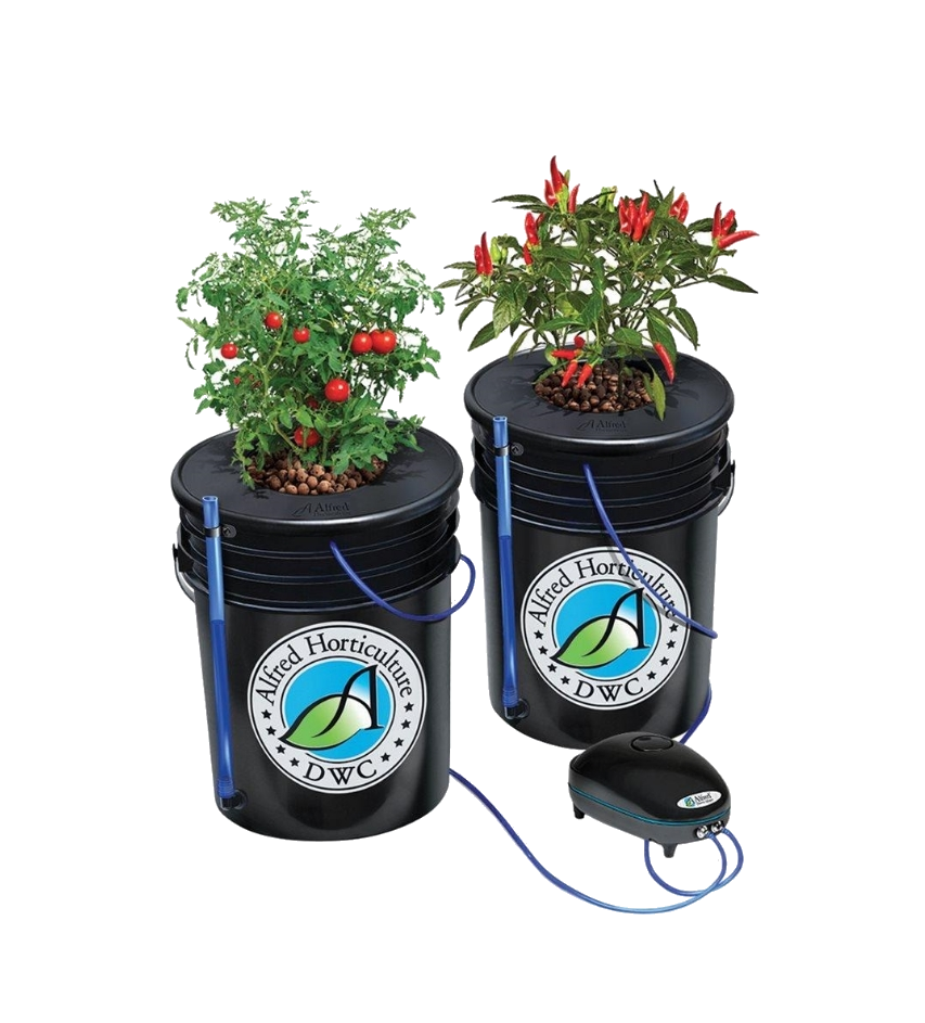 LED Hydro Starter Complete Grow Kits for 2 Plants