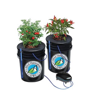 LED Hydro Starter Complete Grow Kits for 2 Plants