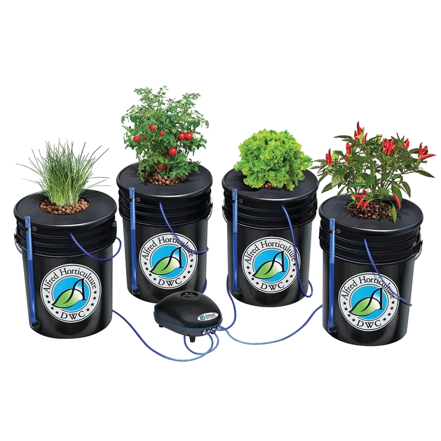 LED Hydro Starter Complete Grow Kits for 4 Plants