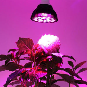 Niello 36W LED Grow Light