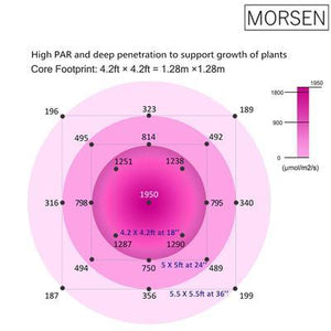 Morsen 1000W/1500W/2000W/2400W/3000W Led Grow Light
