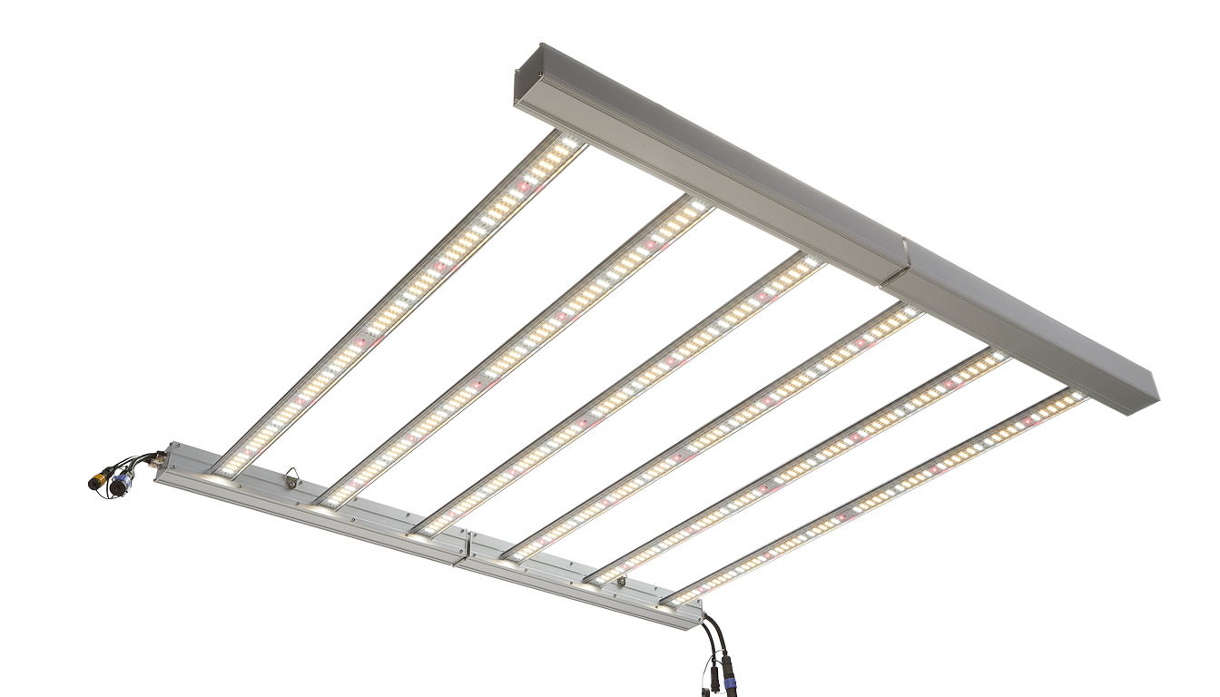 Cultivate Tech GrowtechX 480