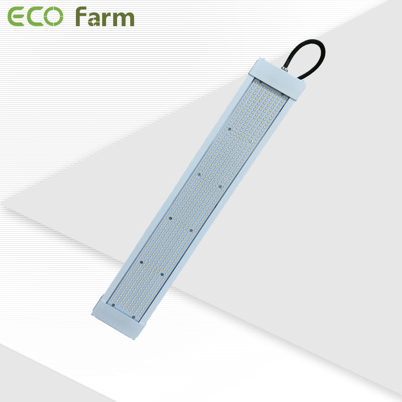 ECO Farm 320W/640W LED Grow Light With 630nm+460nm Full Spectrum Hydroponic Grow Light Strips