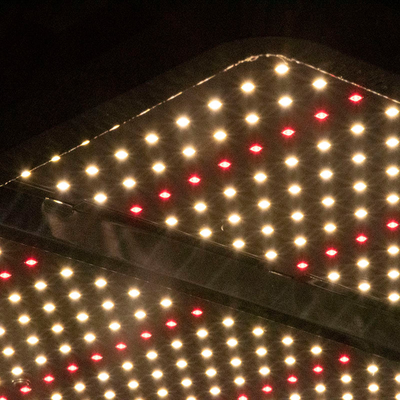 ECO Farm TS Series LM281B 150/300W LED Quantum Board-growpackage.com