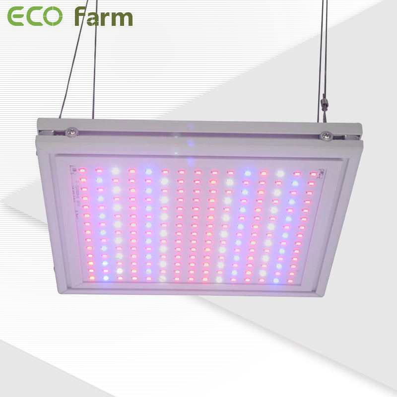 ECO Farm 24W/47W LED Grow Light for Seeding-growpackage.com