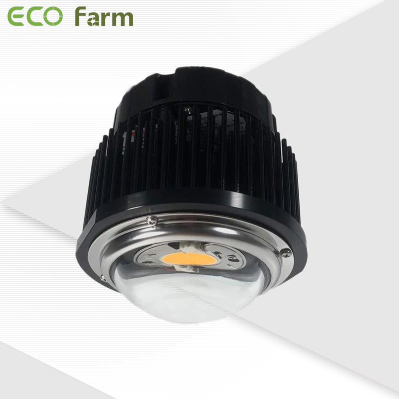 ECO Farm 50W CREE CXB3590 COB Led Light - GrowPackage.com