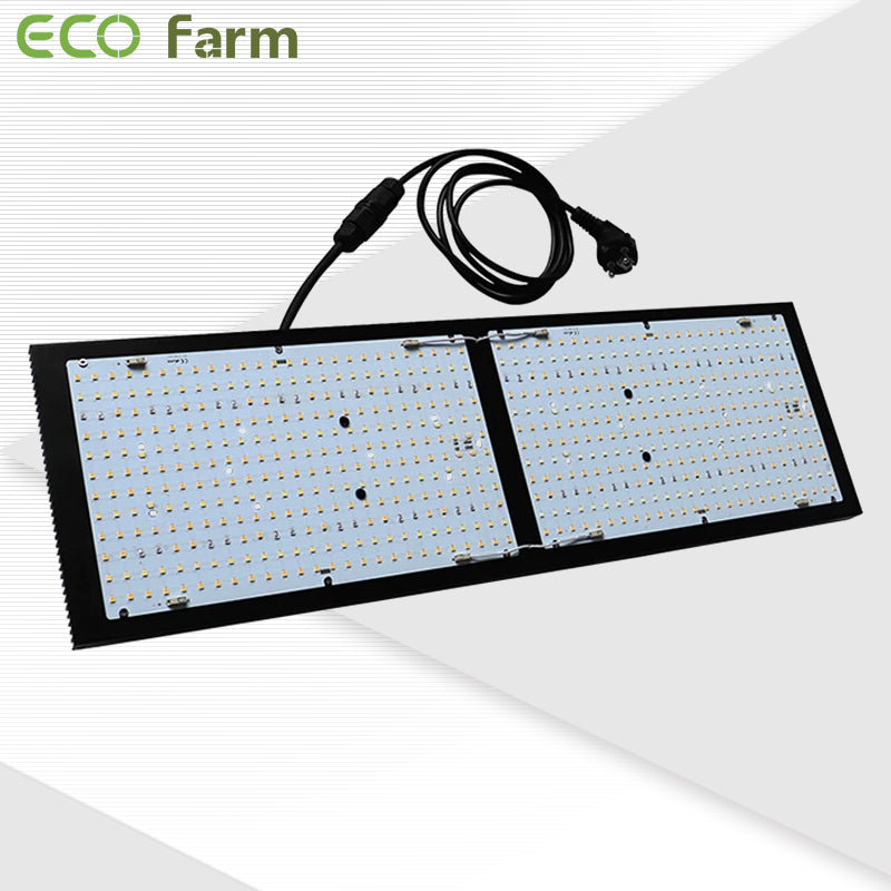 ECO Farm LED Quantum Board - RX-LM301-312 Series-growpackage.com
