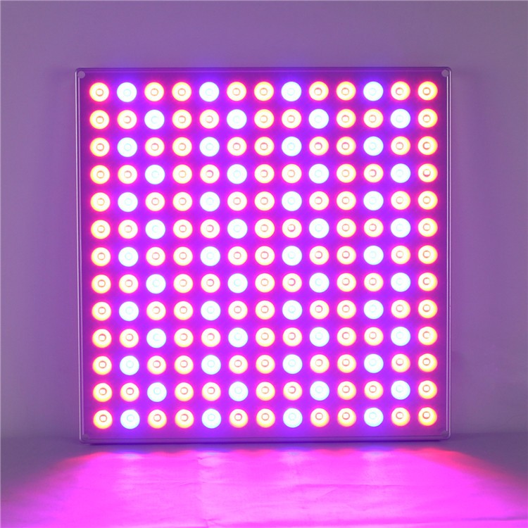 ECO Farm Full Spectrum 45W LED Grow Light-growpackage.com