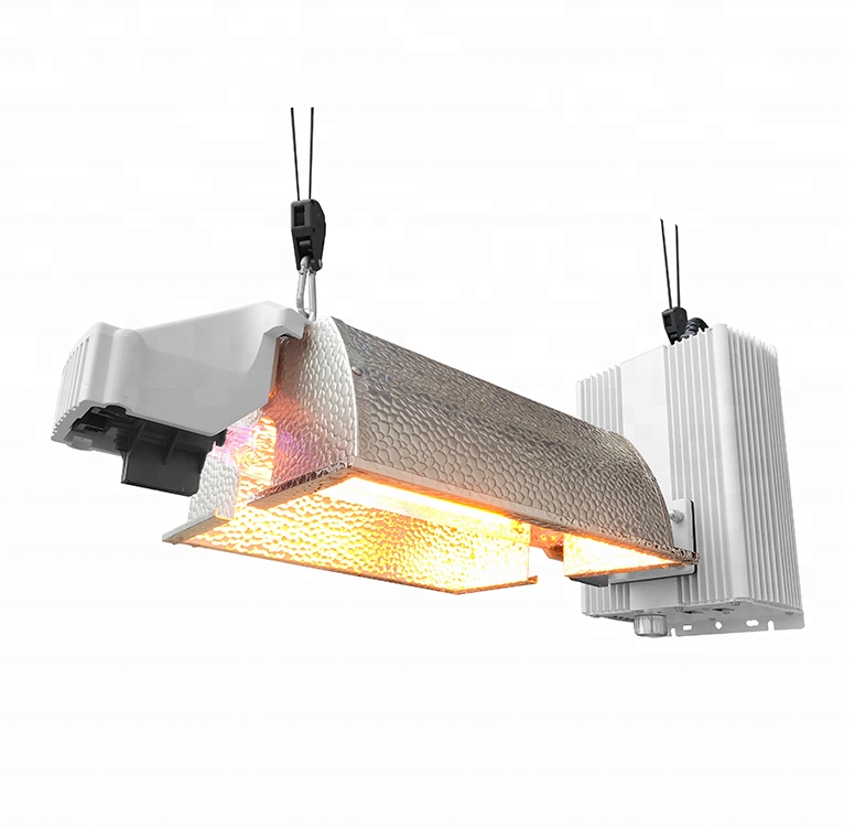 ECO Farm 1000W Double Ended HPS Grow Light Kits -Premium G-Star Kit-growpackage.com