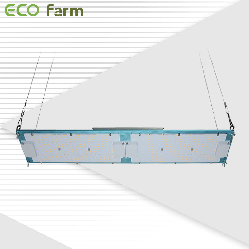ECO Farm ECO Blue 120/240W LM301H Quantum Board-growpackage.com