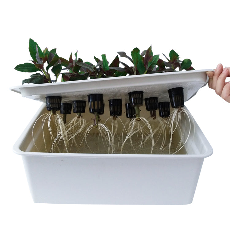 ECO Farm Garden Supplies Hydroponics Growing Net Pot Basin-growpackage.com