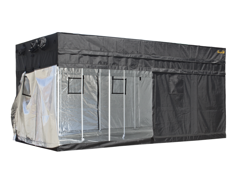Gorilla 8ft x 16ft x 6ft11inch w/ Ext 7ft11inch Grow Tent For Beginners