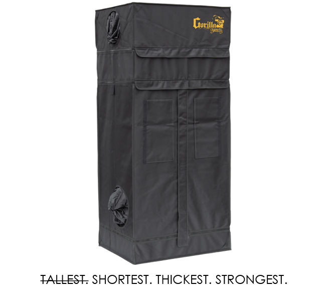 Gorilla 2ft x 2ft5inch x 4ft11inch w/ Ext 5ft11inch Grow Tents For Short Plants