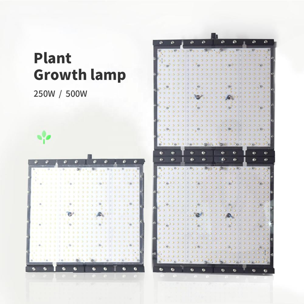ECO Farm 250W/500W Dimmable LED Grow Light for Greenhouse-growpackage.com