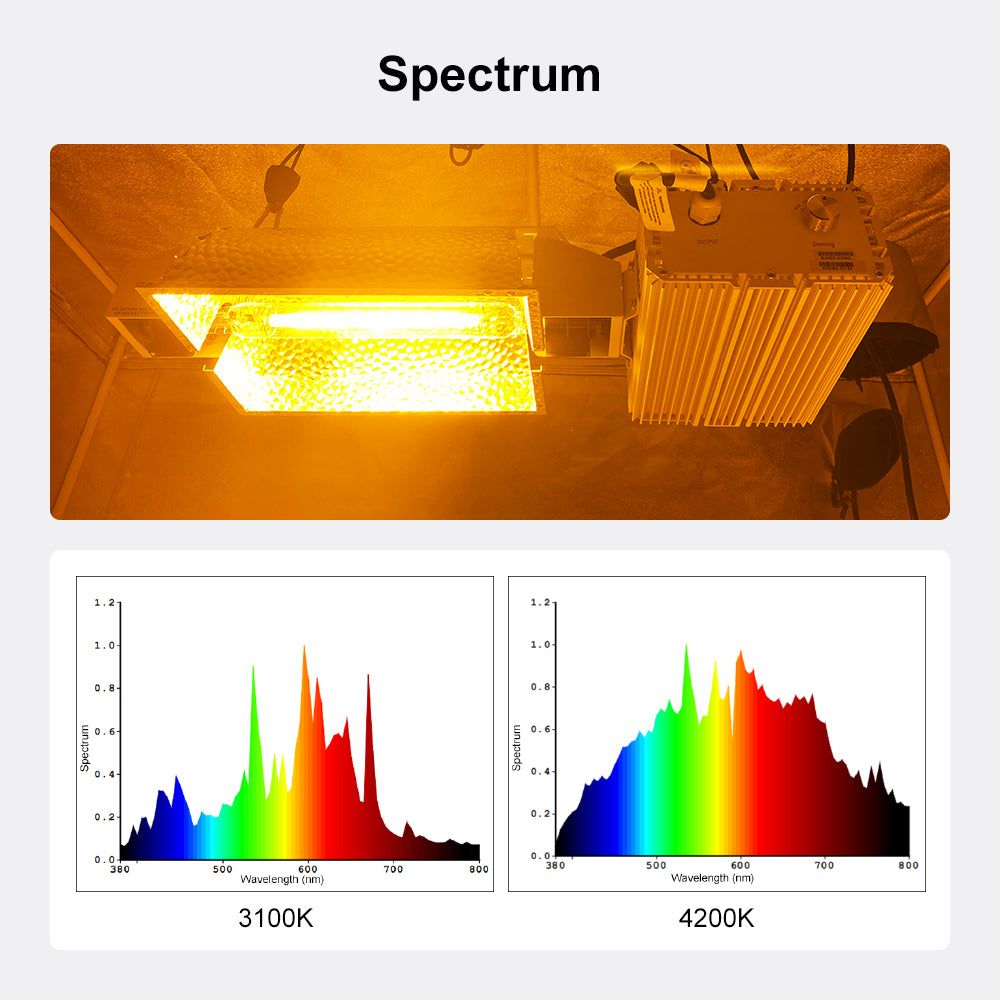 ECO Farm 1000W CMH Dimmable Adjustable Reflector Double Ended Grow Lights