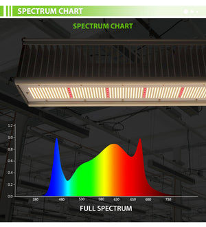 ECO Farm TOP Series 650W/800W Full Spectrum Commercial LED grow lights for Greenhouse