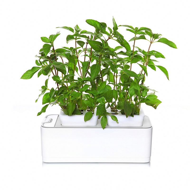 ECO Farm Mini Aeroponic Growing Systems-growpackage.com