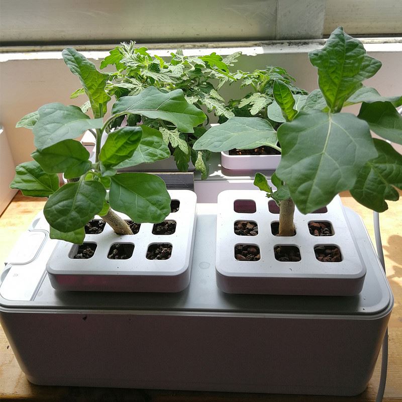 ECO Farm Mini Aeroponic Growing Systems-growpackage.com