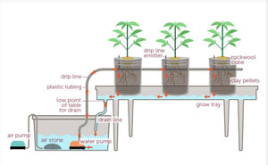 ECO Farm Ebb & Flow Drip Irrigation Hydroponic System-growpackage.com