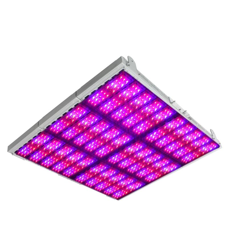 ECO Farm High Power 2000W LED Grow Lights-growpackage.com