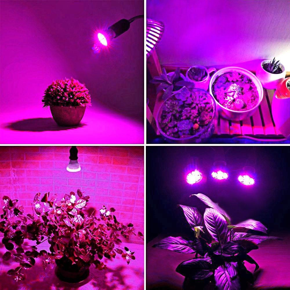 King-Mini 9W Grow Light Full Spectrum Blub for Indoor Plants -