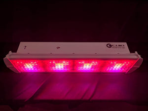 CGE Max300 SP1 LED Grow Light for Indoor Plants Growing