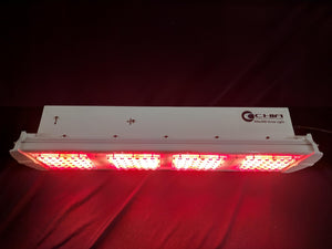 CGE Max300 SP2 LED Grow Light for Indoor Plants Growing for Sale