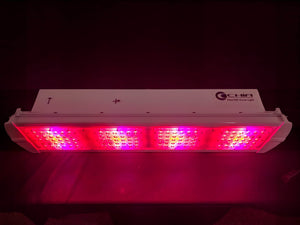 CGE Max300 SP3 LED Grow Light for Indoor Plants Growing for Sale