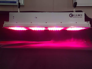 CGE Max300 SP3 LED Grow Light for Indoor Plants Growing for Sale