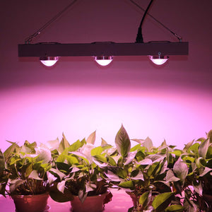 Niello 600W LED Cob Grow Light