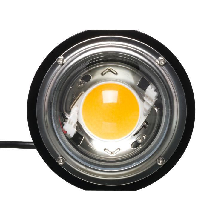 Optic LED Optic 1 COB Grow Light (54W) - LED Grow Lights Depot