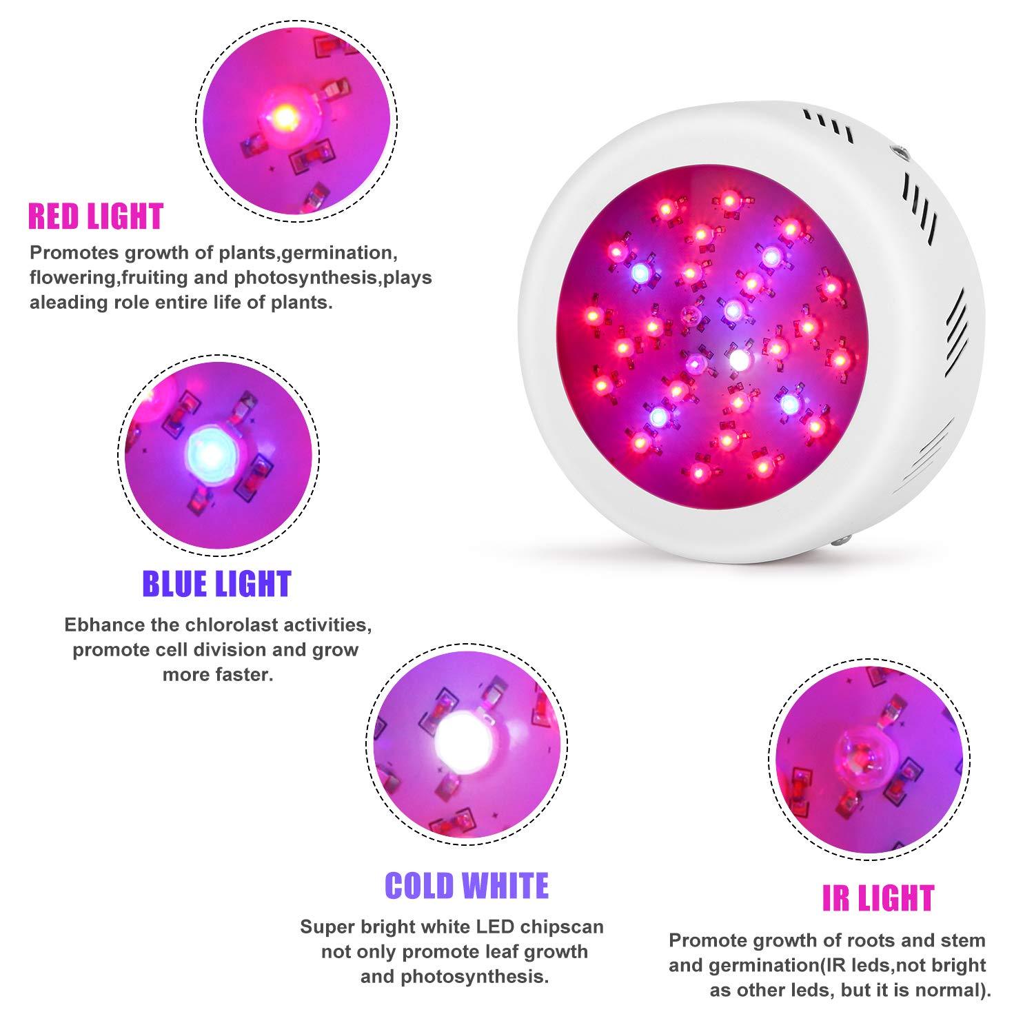 Roleadro 135/300/600W LED Grow Light