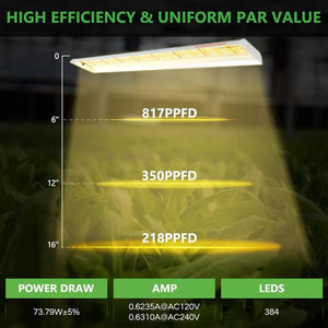 Spider Farmer SF600 74W LED Grow Light For Seedling and Veg