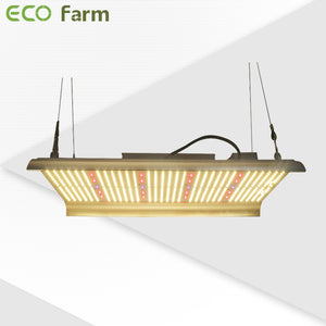 ECO Farm 3'x3' Essential Grow Tent Kit - 240W G2 LM561C LED Quantum Board