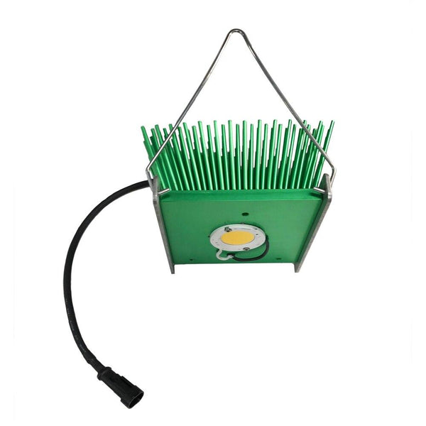 Timber_LED_Daisy_Single_600x.