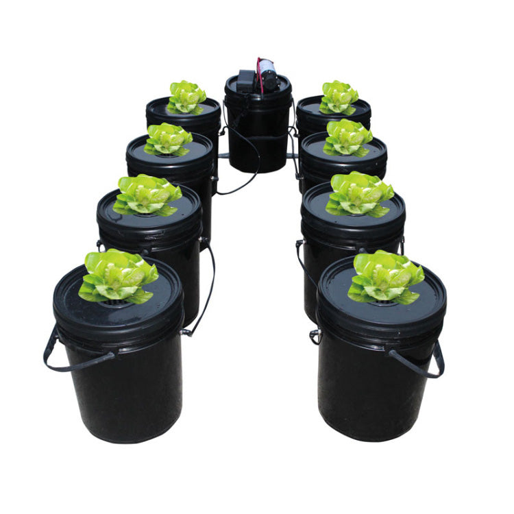 ECO Farm DWC hydroponics growing systems kits 8 buckets-growpackage.com