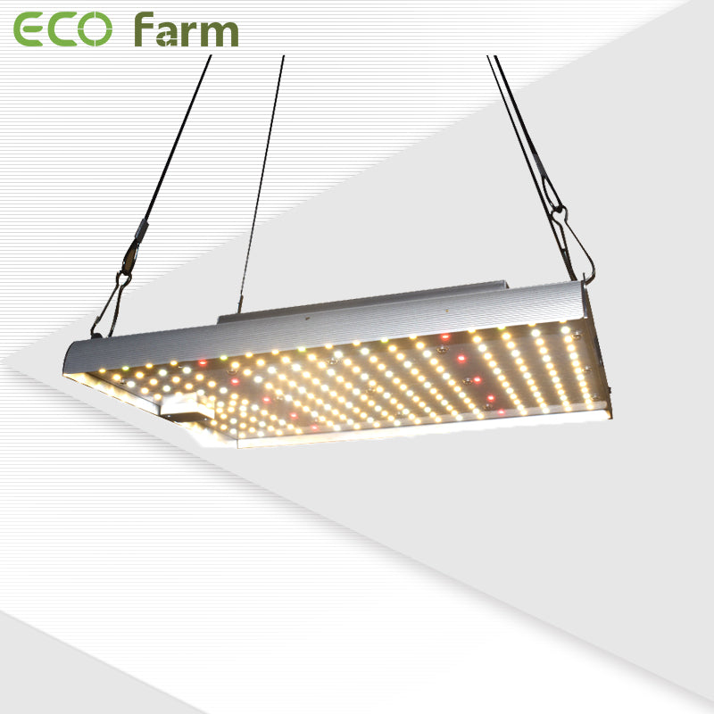 ECO Farm XC 120W/240W Quantum Board With Samsung 301B Chips + MeanWell Driver
