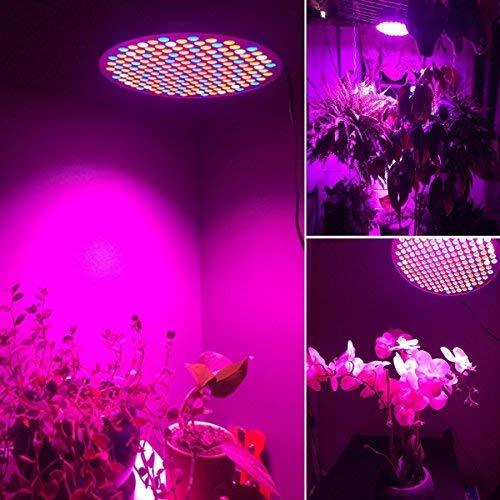 Niello 50W LED Grow Light Panel