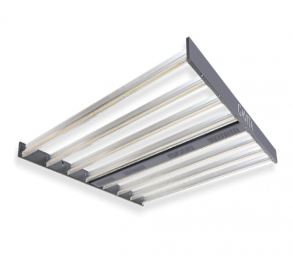 Gavita led light deals