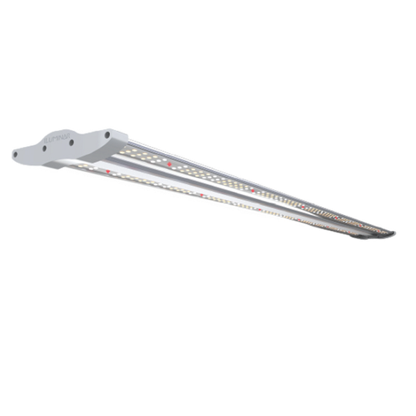 Iluminar iLW 60 Watt LED Grow Light, 120-277 Volt