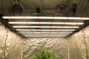 ECO Farm ECOS 600W FOLDABLE LED Grow Light