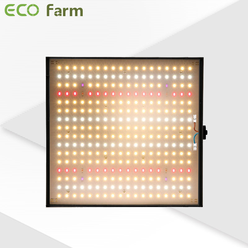 ECO Farm LM301B/LM301H 2.8 umol Quantum Board Grow Light-growpackage.com