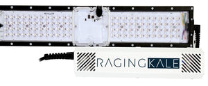 Scynce LED Raging Kale - 250W LED Grow Light w/ LED Glasses