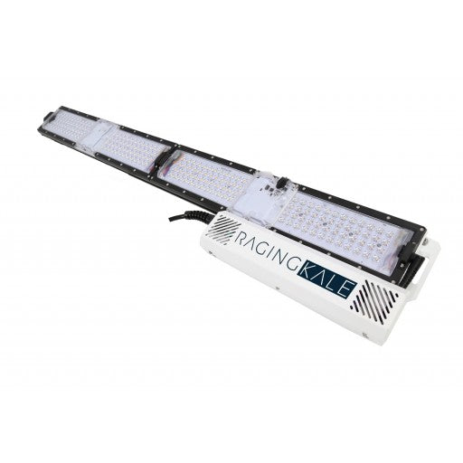 Scynce LED Raging Kale - 250W LED Grow Light w/ LED Glasses