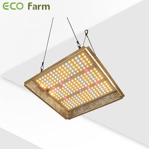 ECO Farm G3 LM301B 100W/240W/330W Quantum Board with UV IR and 3 Dimmers